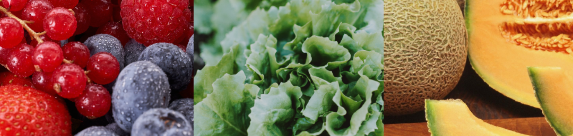 Important Changes to Food Safety Standards for Berries, Leafy Vegetables, and Melons